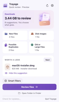 Trayage Quick Review menu-bar view with file groups and a sample installer suggestion.